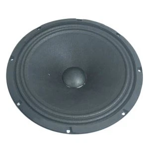 Woofer ta ’Medda Medja ta’ 10 pulzieri Car Audio